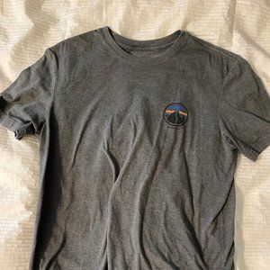 Grey Patagonia Tshirt